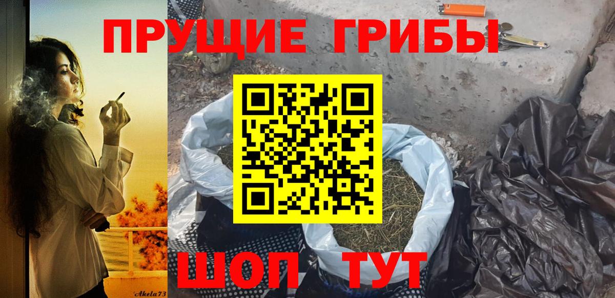 APVP Медногорск