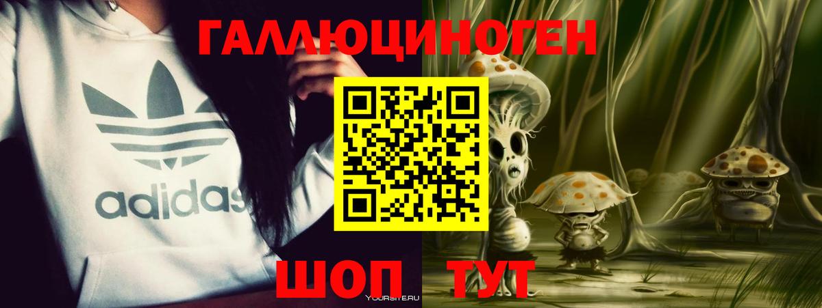 Псилоцибиновые грибы GOLDEN TEACHER Медногорск